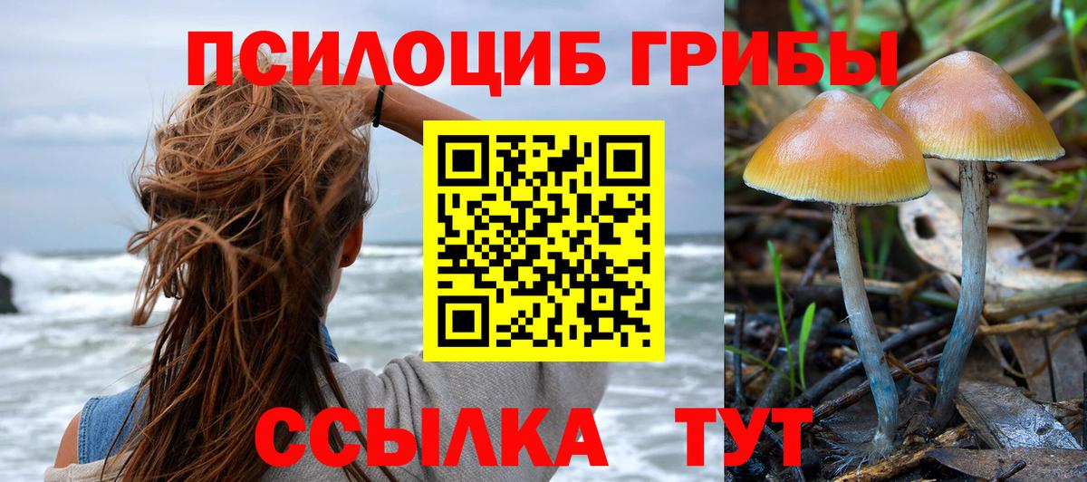 Галлюциногенные грибы мицелий Острогожск