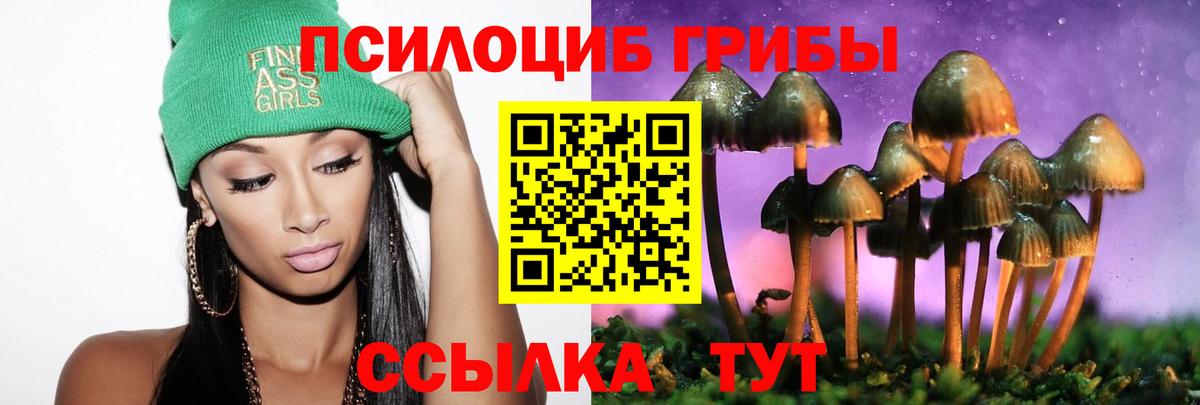купить наркотики сайты  Вход с VPN  Галлюциногенные грибы ЛСД  Острогожск  Галлюциногенные грибы мицелий 